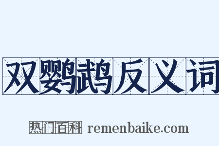双鹦鹉反义词是什么意思的图片